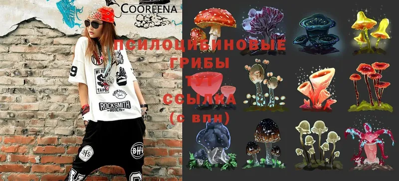 Псилоцибиновые грибы MAGIC MUSHROOMS  Конаково 